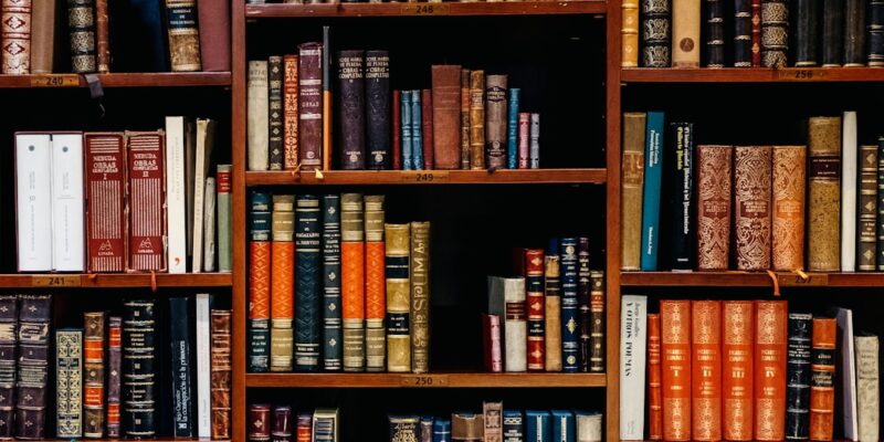 Bøker: En Dypdykk i Litteraturens Verden